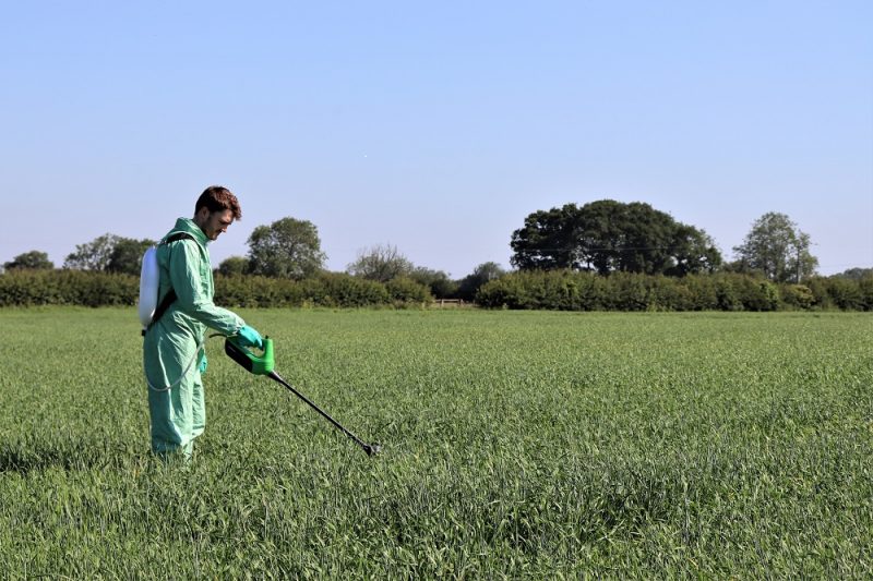 The RIVERLYNX system has also proved very effective in the control and eradication of Black Grass.